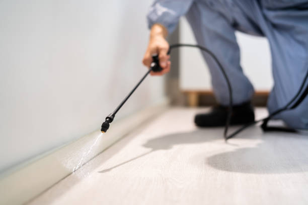 Licensed Pest Control service in Garrison, ND - Show Me Pest Control