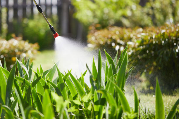 Tamper-Resistant Bait Stations for Rodents in Garrison