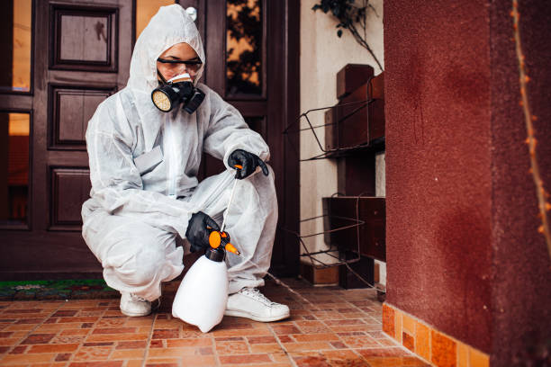 Attic and Crawl Space Rodent Treatment in Garrison