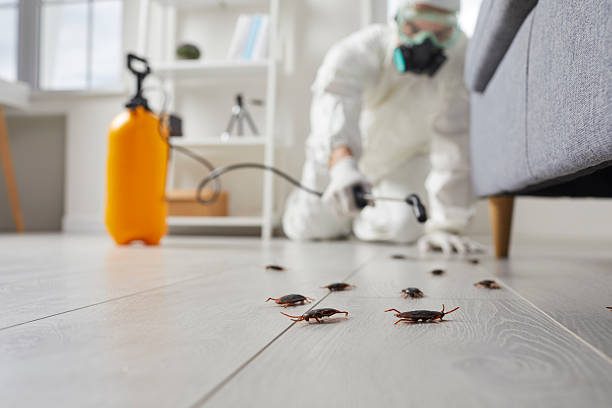 Commercial Rodent Management in Garrison